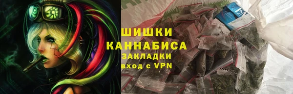 гашик Алексин