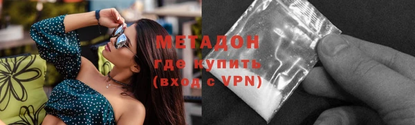 гашик Алексин