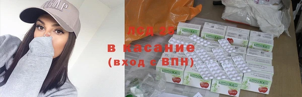 гашик Алексин