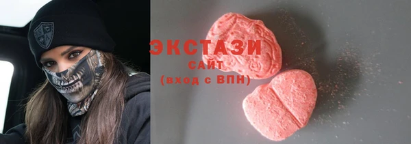 гашик Алексин