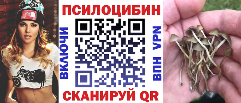 Псилоцибиновые грибы Psilocybe  Удачный 